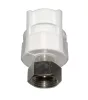 PPR Karmantyú BM hollandival 25-3/4"